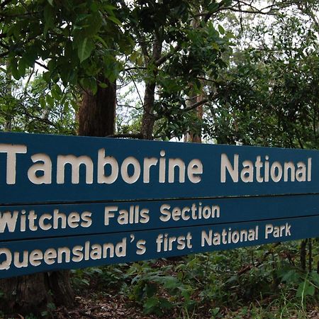 Witches Falls Cottages Mount Tamborine Eksteriør billede