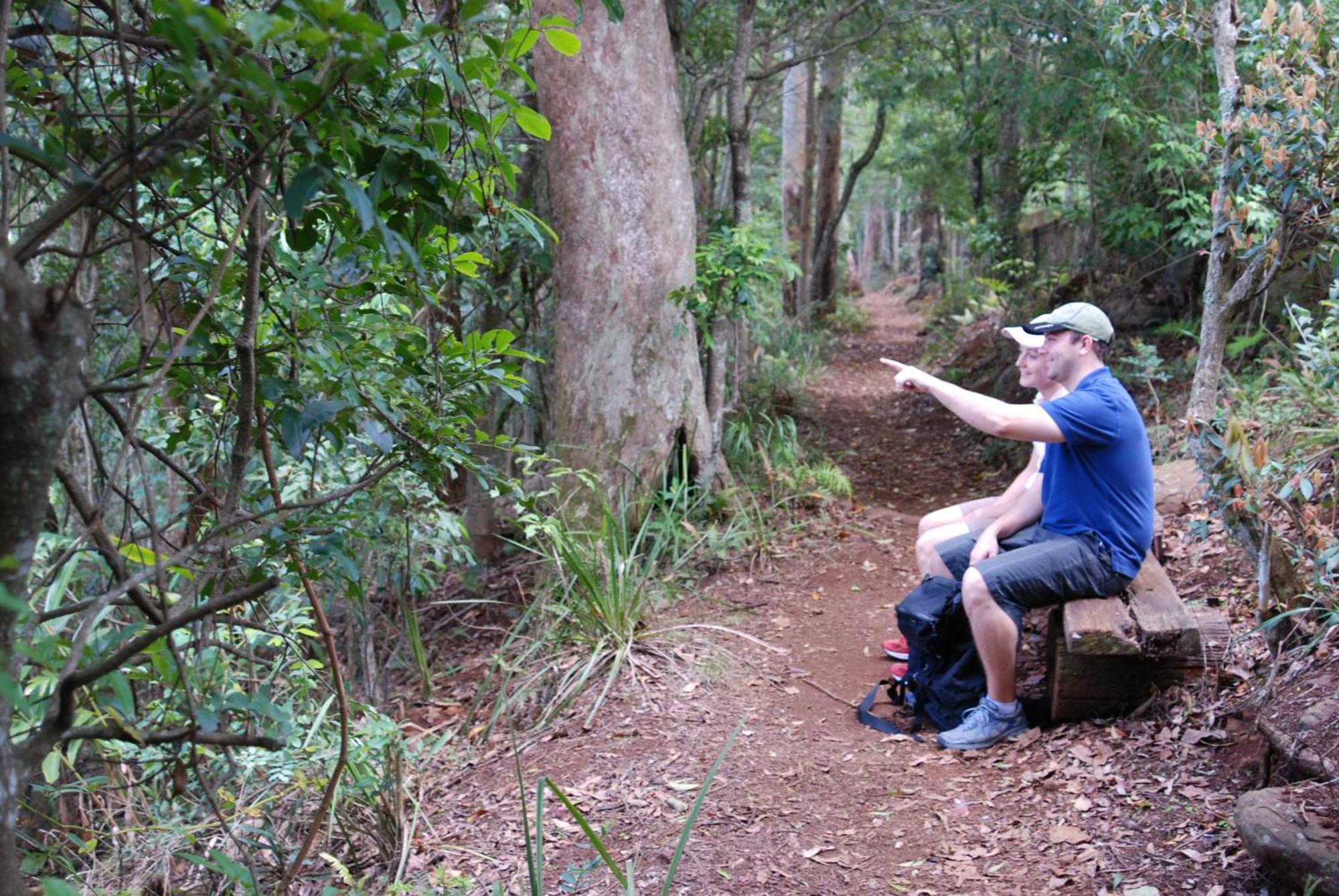 Witches Falls Cottages Mount Tamborine Eksteriør billede